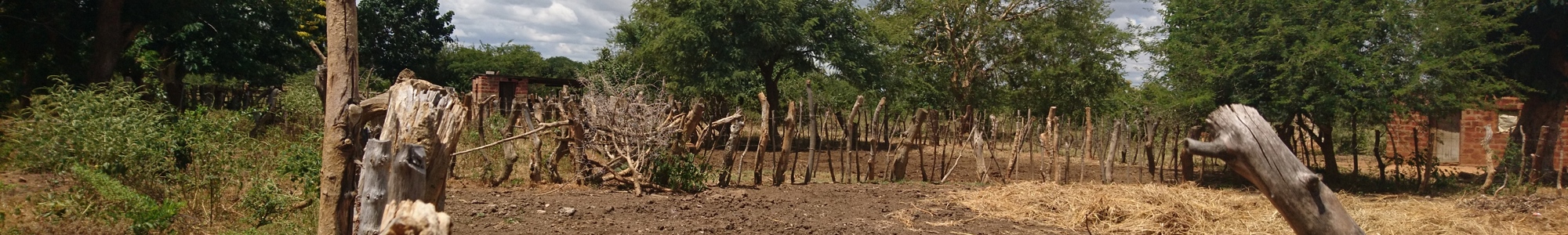 Smallholder farm in the project region